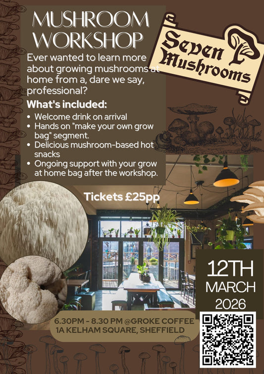 An Introduction to Lion's Mane Cultivation