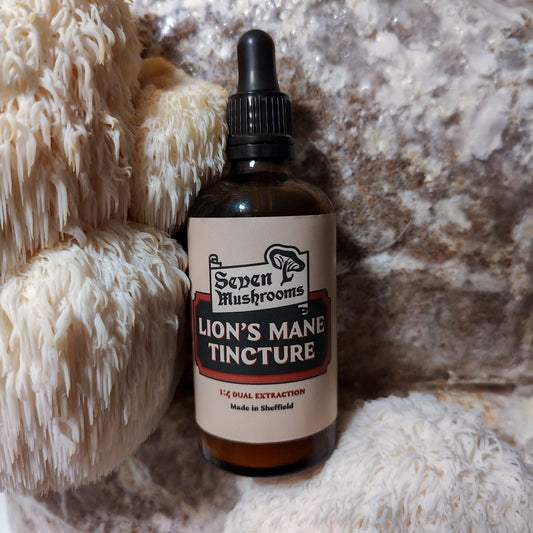 Lion's Mane Tincture - 100ml